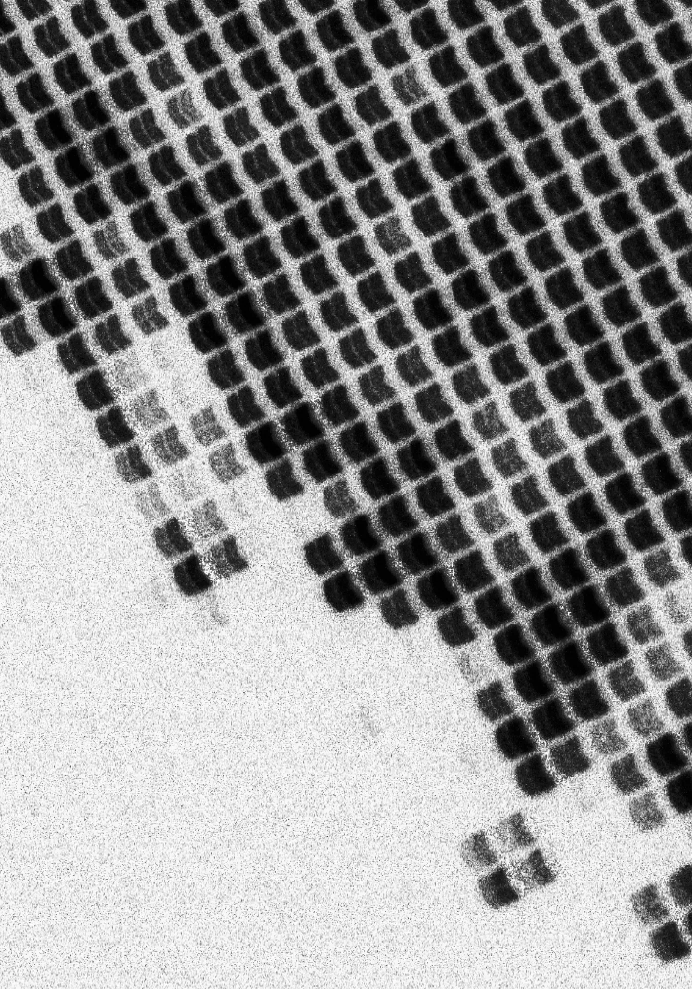 Abstract black grid texture